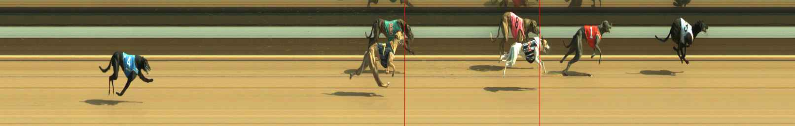 Photo finish for Warragul Race 9