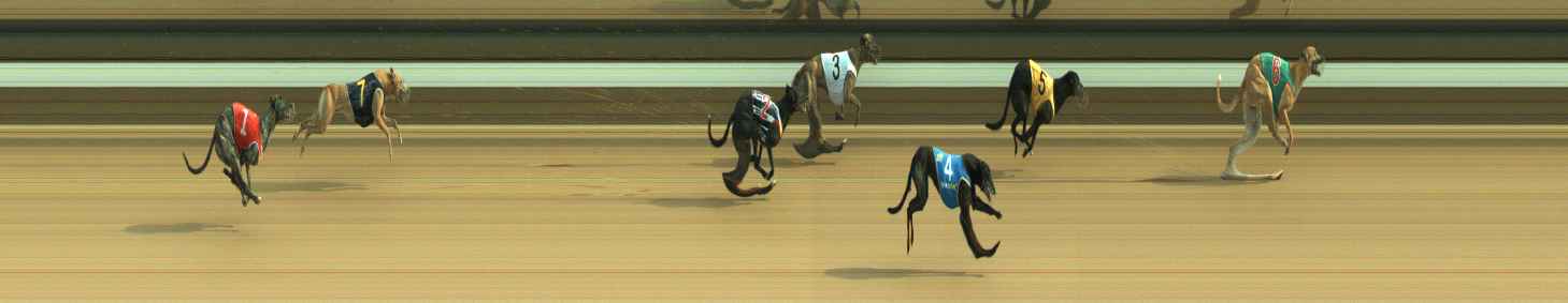 Photo finish for Warragul Race 11