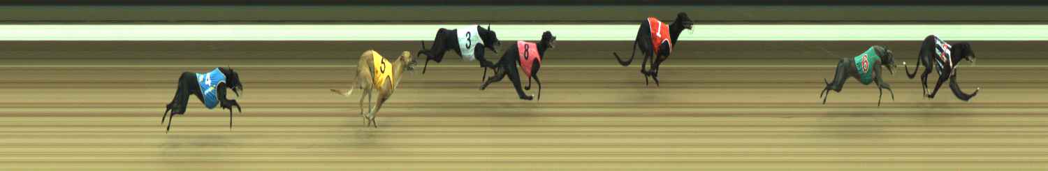 Photo finish for Warragul Race 1