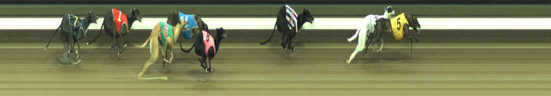 Photo finish for Warragul Race 2