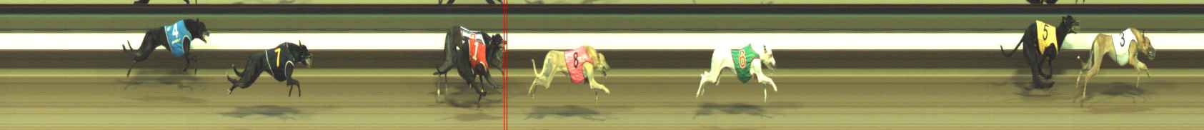 Photo finish for Warragul Race 3