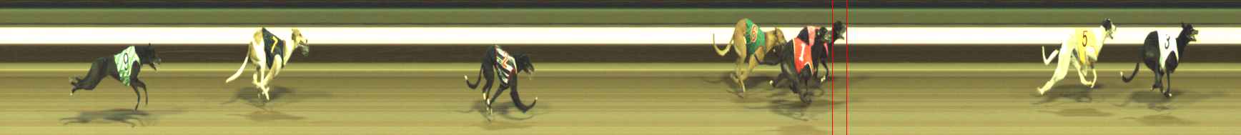 Photo finish for Warragul Race 4