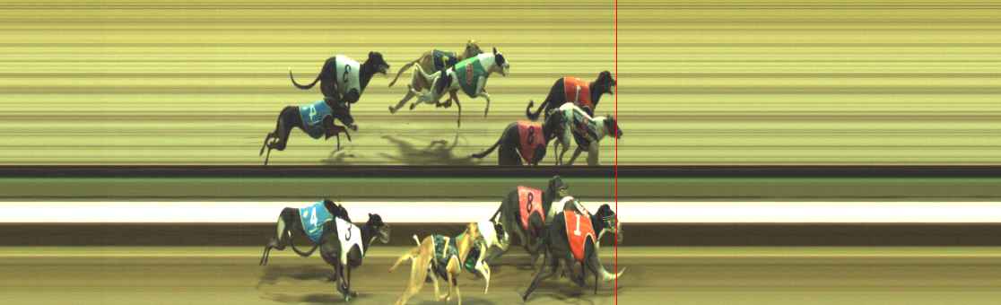Photo finish for Warragul Race 5