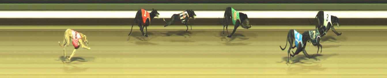 Photo finish for Warragul Race 6