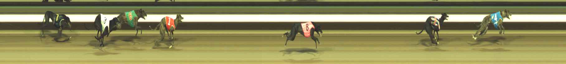 Photo finish for Warragul Race 7