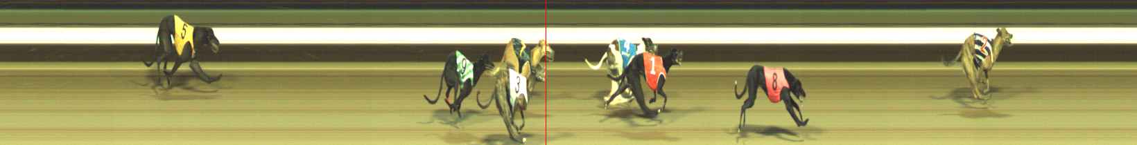 Photo finish for Warragul Race 8
