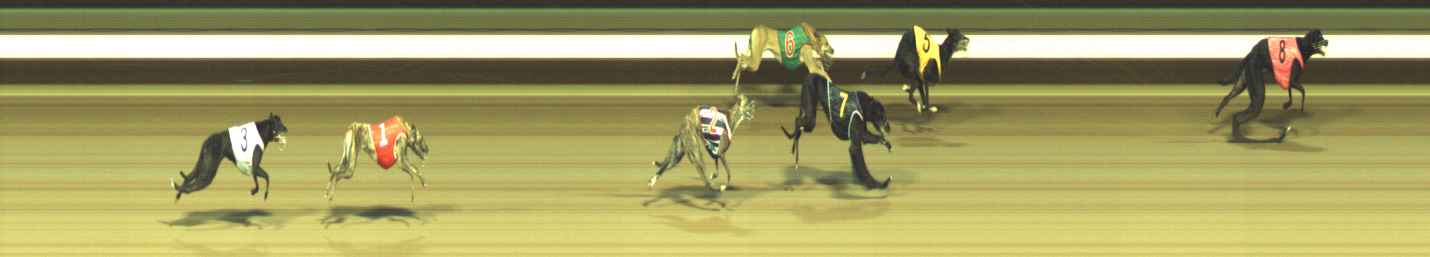 Photo finish for Warragul Race 9