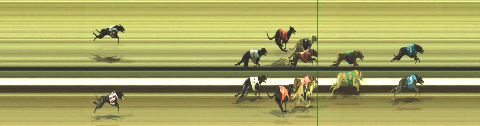 Photo finish for Warragul Race 10