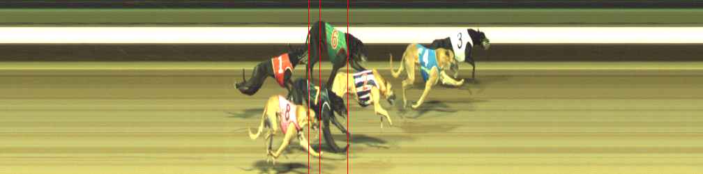 Photo finish for Warragul Race 11