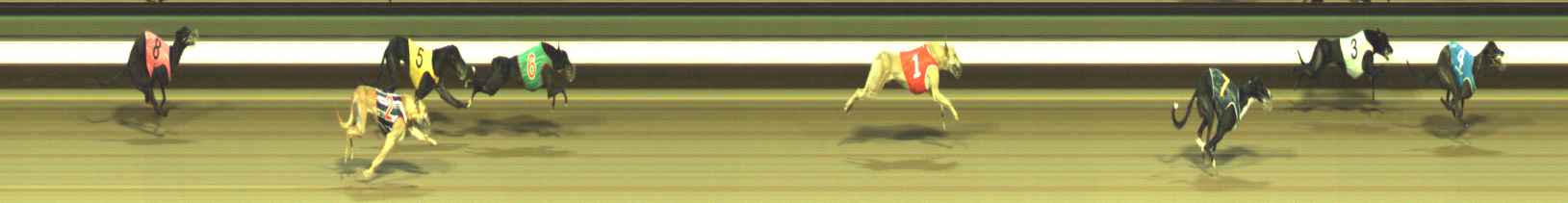 Photo finish for Warragul Race 12