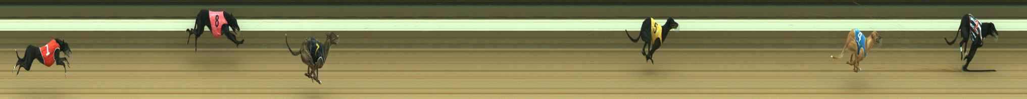 Photo finish for Warragul Race 2