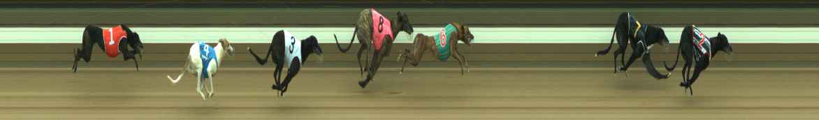 Photo finish for Warragul Race 5