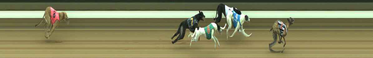 Photo finish for Warragul Race 6