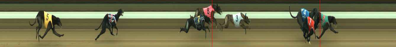 Photo finish for Warragul Race 7