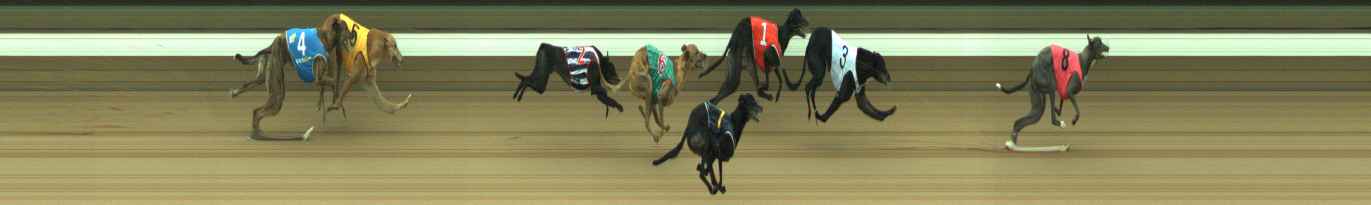 Photo finish for Warragul Race 8