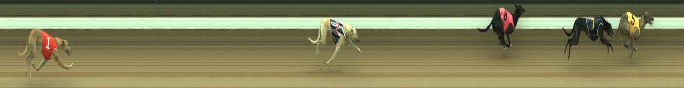 Photo finish for Warragul Race 9