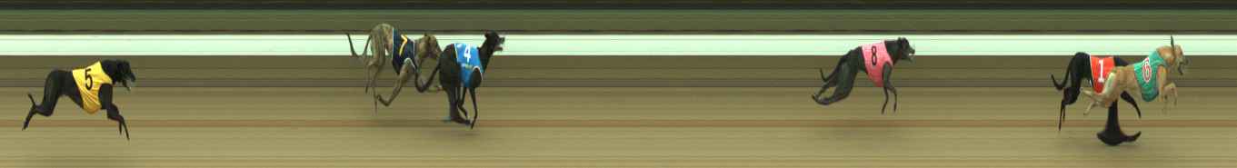 Photo finish for Warragul Race 10