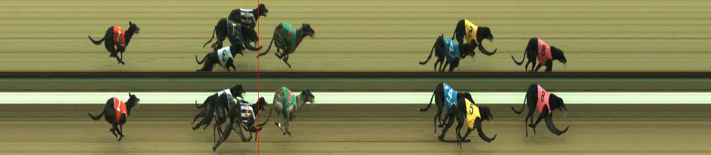 Photo finish for Warragul Race 12