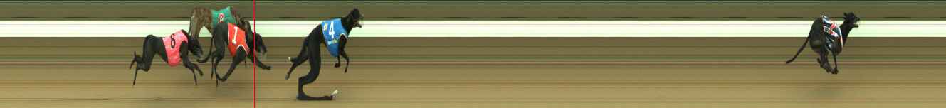 Photo finish for Warragul Race 1