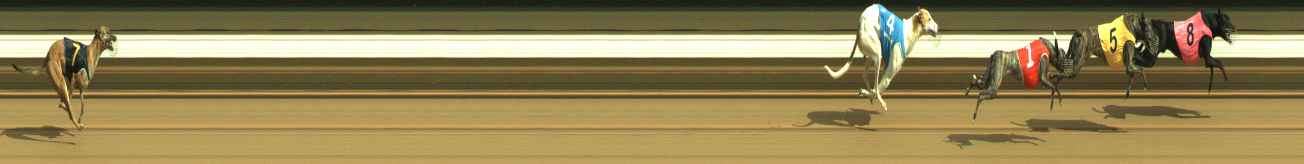 Photo finish for Warragul Race 3