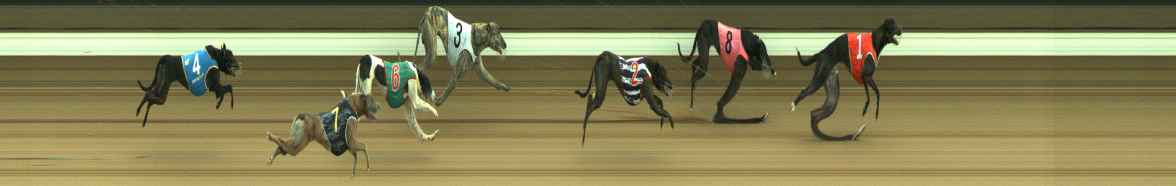 Photo finish for Warragul Race 4