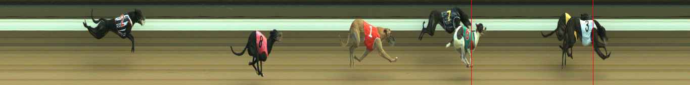 Photo finish for Warragul Race 7