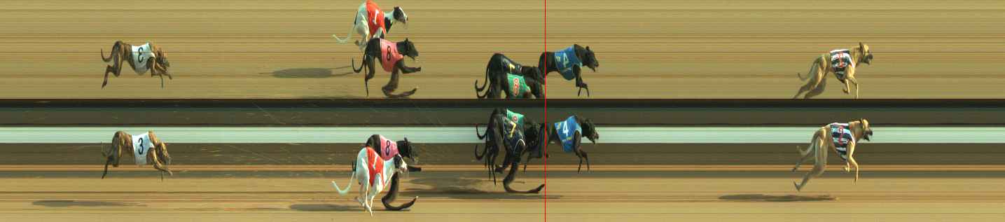 Photo finish for Warragul Race 9