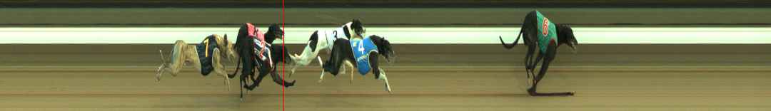 Photo finish for Warragul Race 11