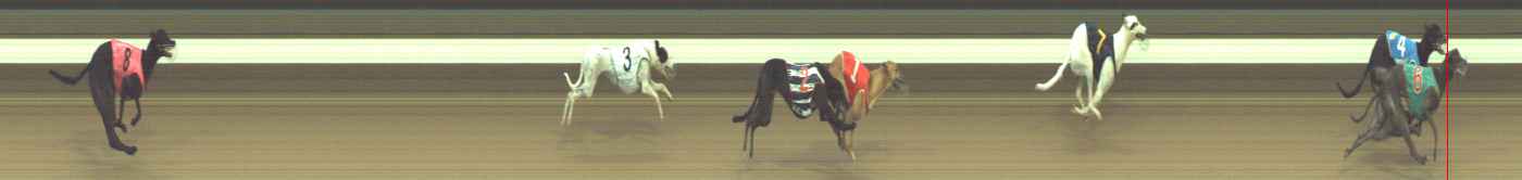 Photo finish for Warragul Race 12