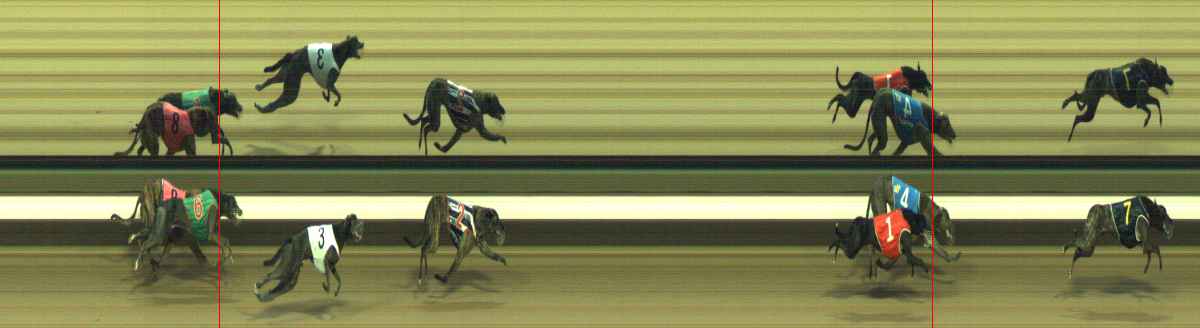 Photo finish for Warragul Race 2