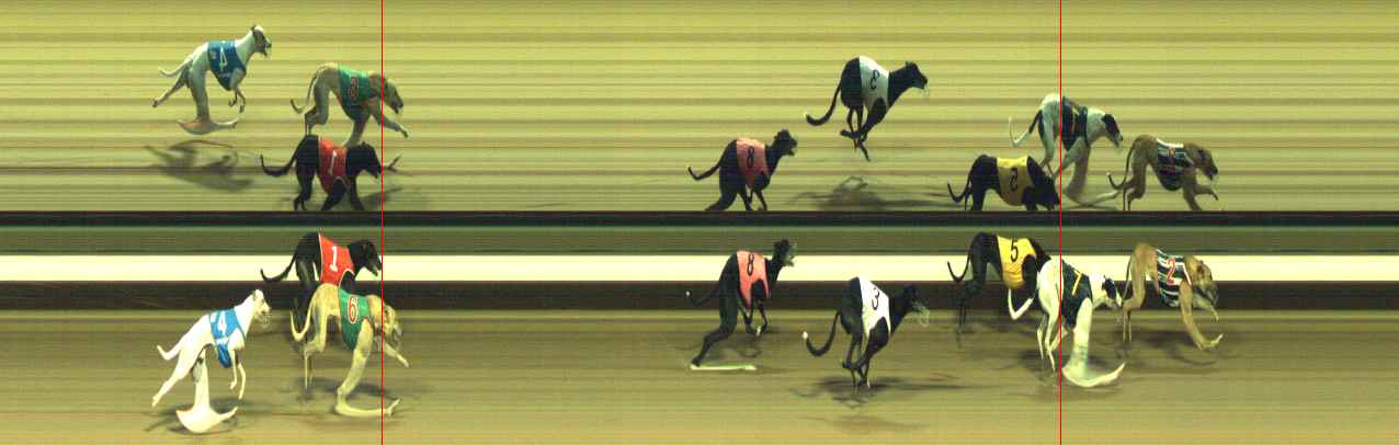 Photo finish for Warragul Race 3
