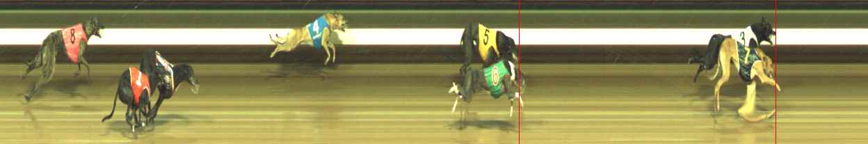 Photo finish for Warragul Race 5