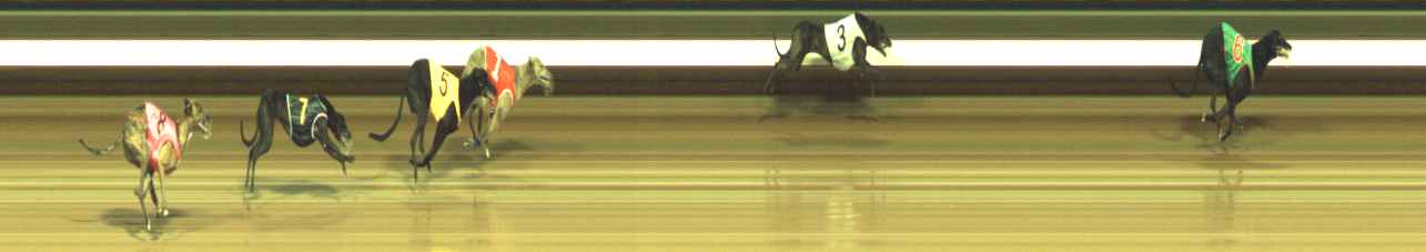 Photo finish for Warragul Race 6