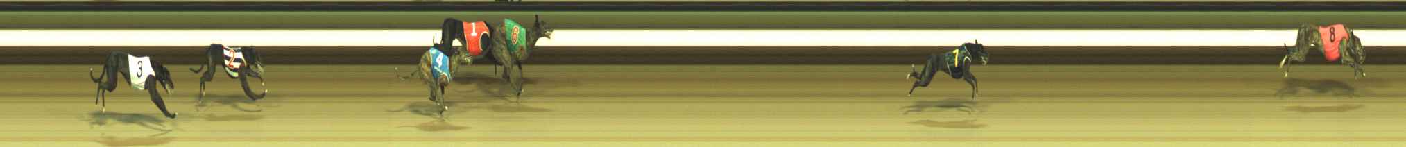 Photo finish for Warragul Race 8