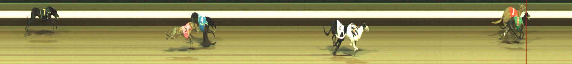 Photo finish for Warragul Race 10