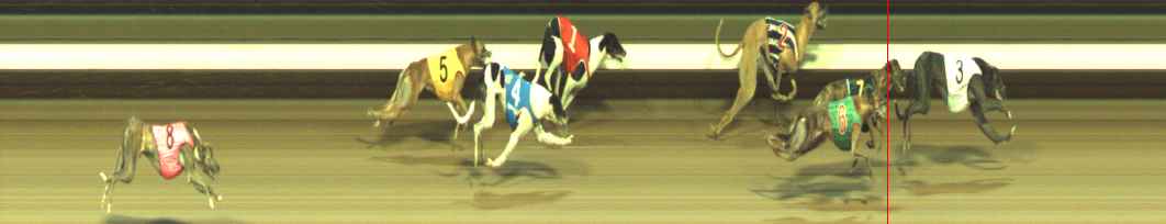 Photo finish for Warragul Race 11