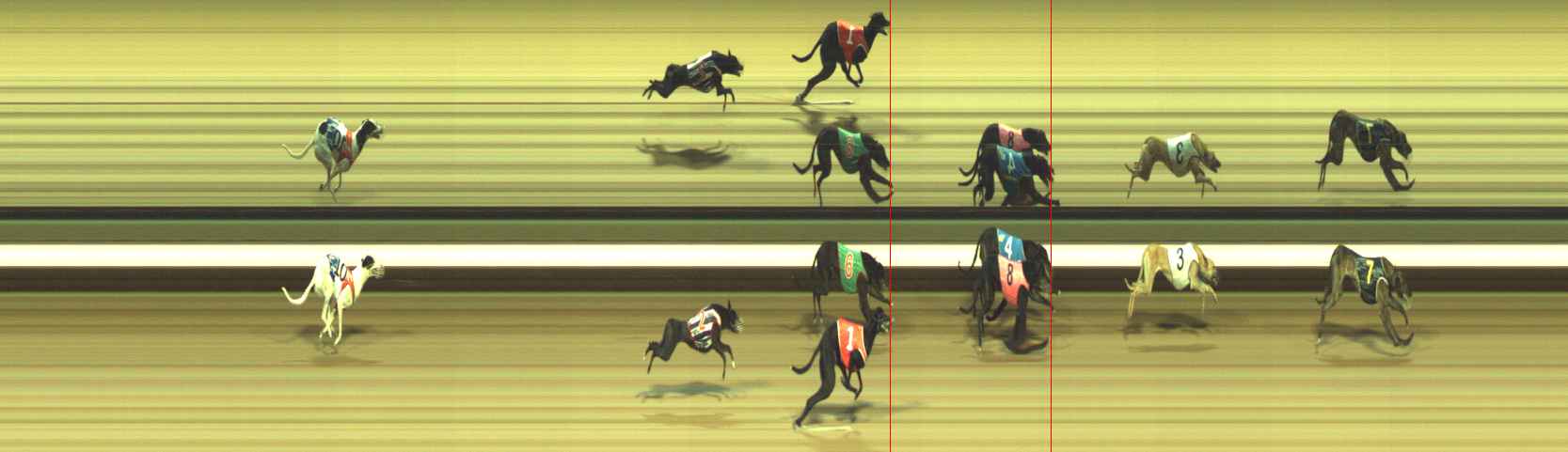 Photo finish for Warragul Race 12