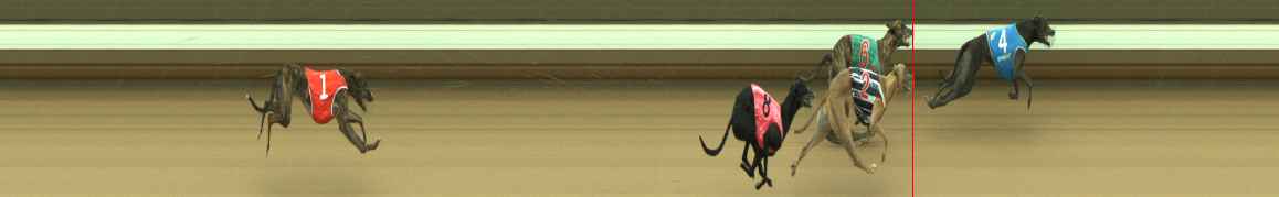 Photo finish for Warragul Race 1