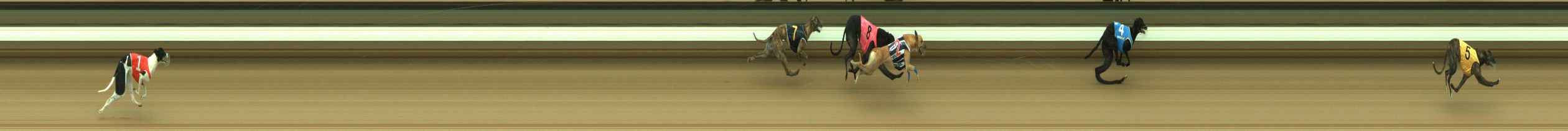 Photo finish for Warragul Race 2