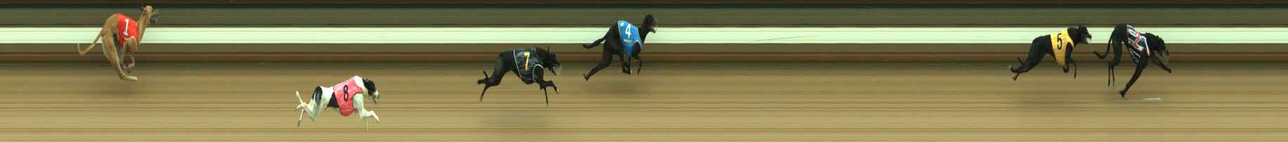 Photo finish for Warragul Race 3