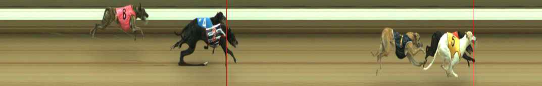 Photo finish for Warragul Race 4