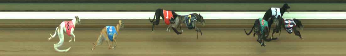 Photo finish for Warragul Race 5