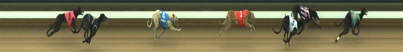 Photo finish for Warragul Race 6