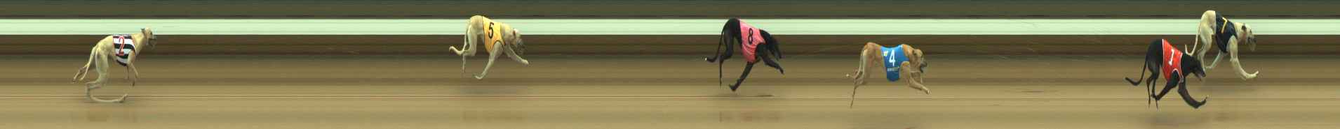 Photo finish for Warragul Race 7