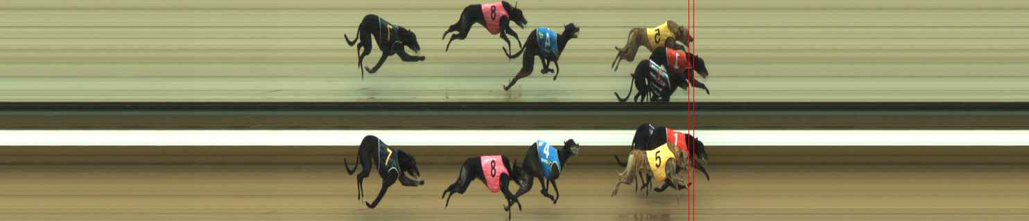 Photo finish for Warragul Race 8