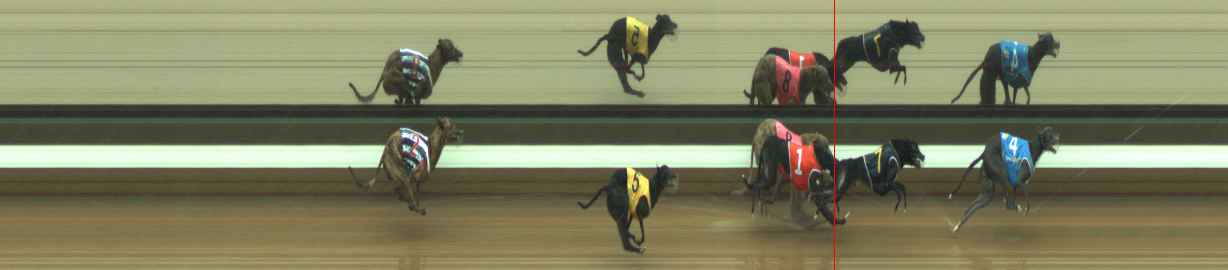 Photo finish for Warragul Race 9