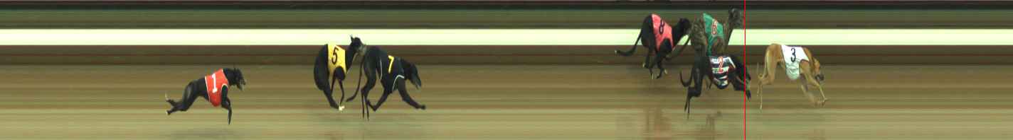 Photo finish for Warragul Race 10