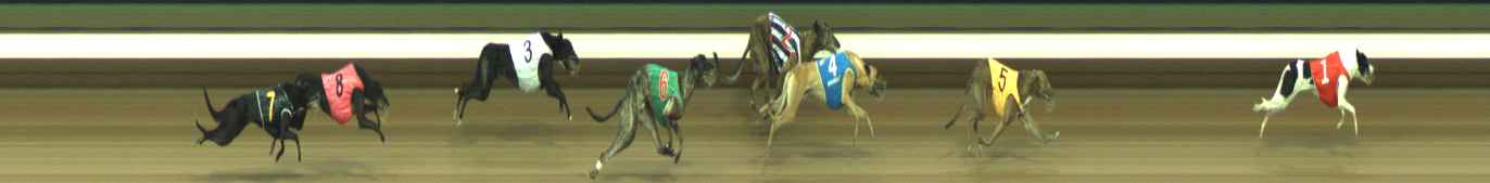 Photo finish for Warragul Race 11