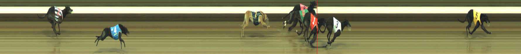 Photo finish for Warragul Race 12