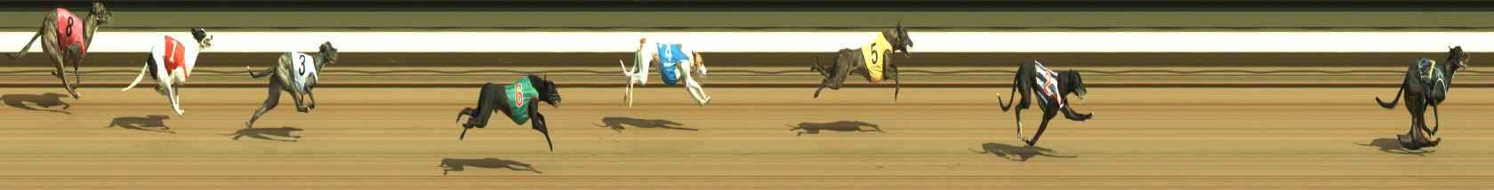 Photo finish for Warragul Race 2
